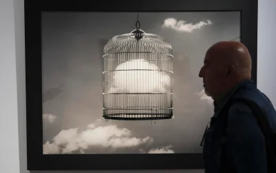 Chema Madoz expone su diálogo con la naturaleza en Tenerife