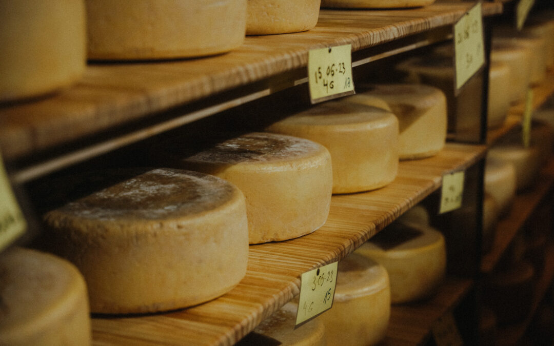 Finca de Uga logra seis medallas en los World Cheese Awards 2024