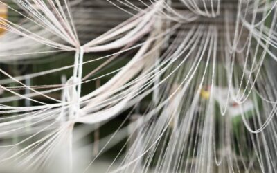 UN AÑO MÁS GANCEDO PARTICIPA EN EL MADRID DESIGN FESTIVAL